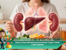 Nutrisi Alami Mendukung Kesehatan Organ Tubuh Lebih Optimal